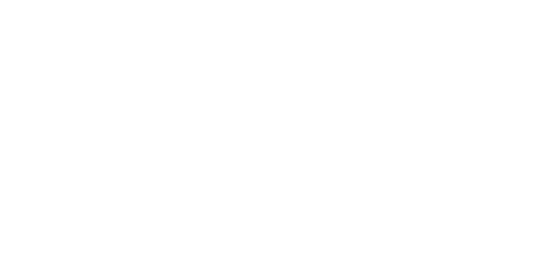 NX Gloss Brightness Icon
